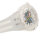 Swatch Scubaqua Aurelia Aurita