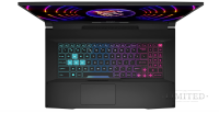 MSI Katana 17 Gaming-Laptop, 17,3” Full HD 144 Hz